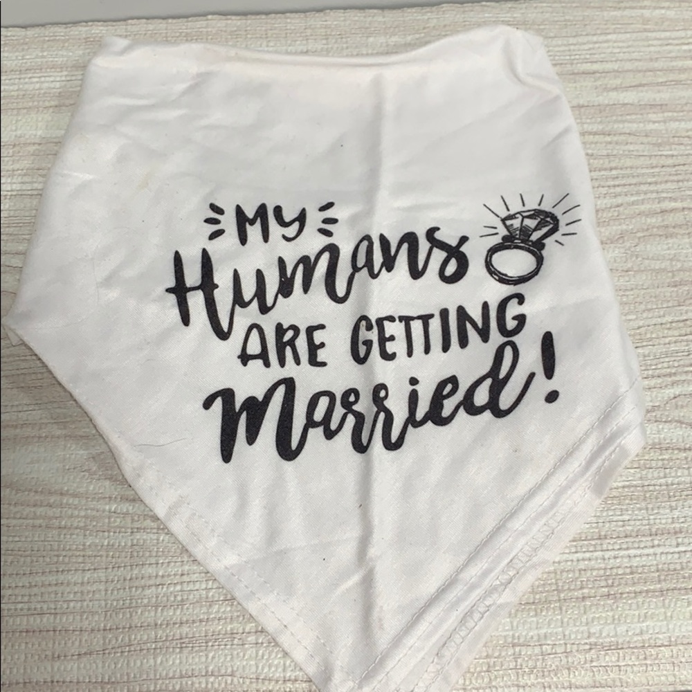 My humans are getting married a dog bandanna